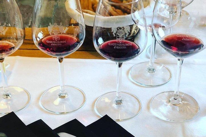 Private Top Brunello Montalcino Wine Tour & Food Pairing Session
