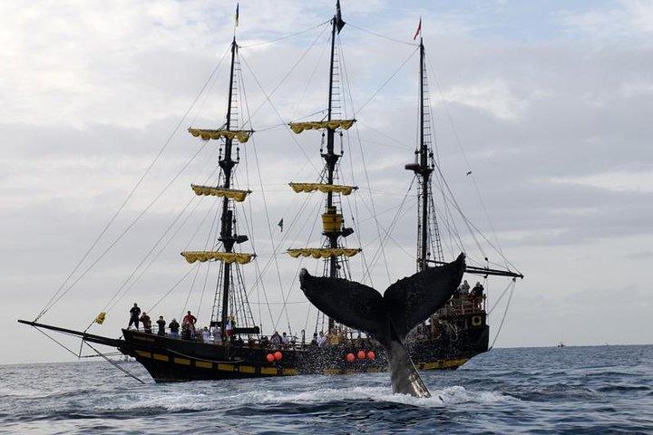 Whale-Watching Pirate Ship Cruise in Los Cabos