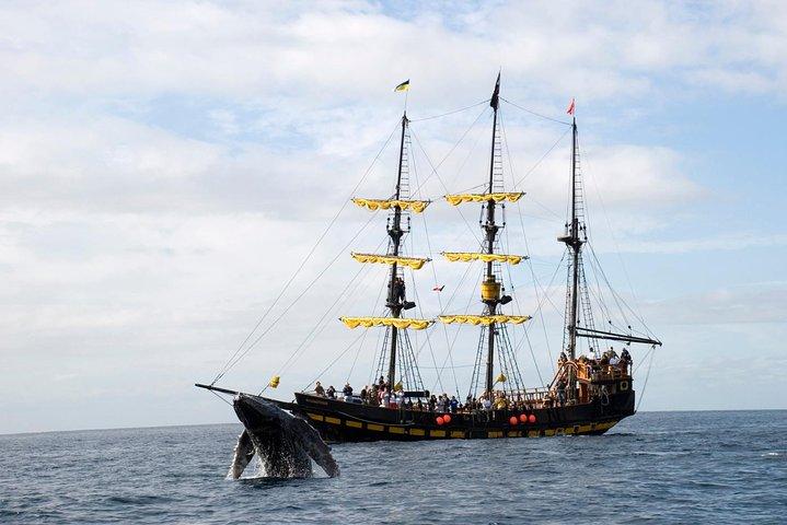 Whale-Watching Pirate Ship Cruise in Los Cabos