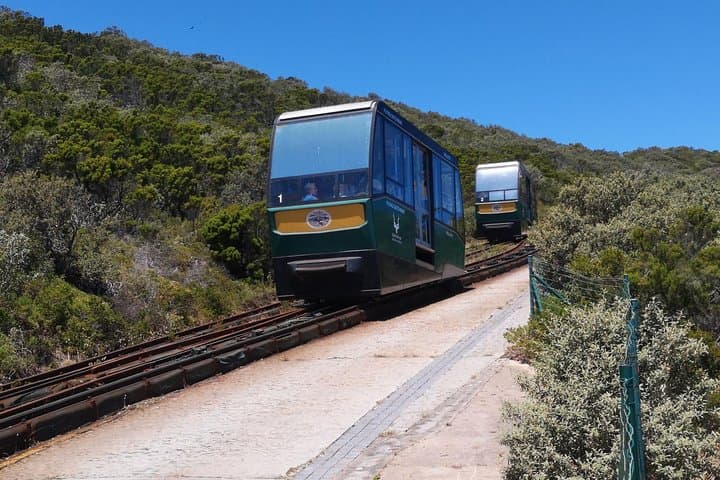 Private Cape of Good Hope and Penguins tour from Stellenbosch.
