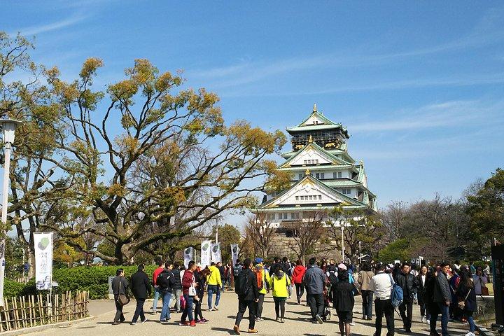 Osaka Castle & Dotonbori Lively One-Day Walking Tour
