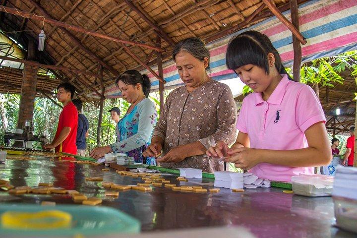 Mekong Delta Private Tour from Hiep Phuoc Port, Ho Chi Minh City