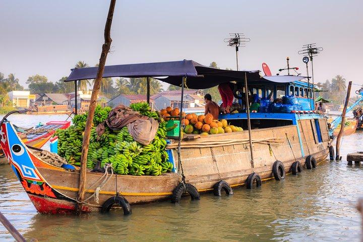 Mekong Delta Private Tour from Hiep Phuoc Port, Ho Chi Minh City