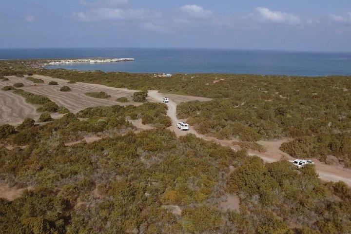 Cruise and 4X4 Safari Tour at Akamas Peninsula from Aphrodite Hills