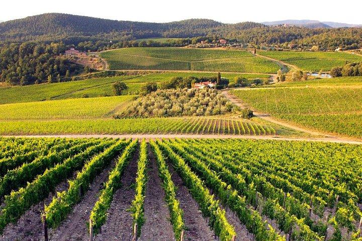 Half Day Tour Chianti Winery with San Gimignano