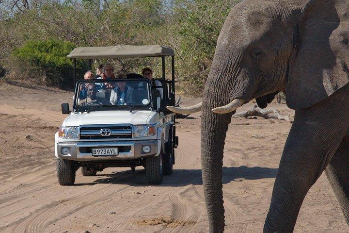 Chobe National Park Game Drive, Botswana