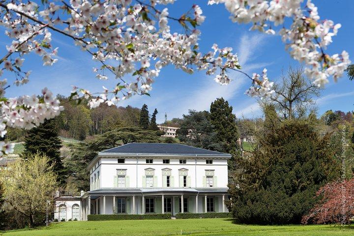 (KTG303) - Winter Montreux, Chillon & Chaplin's World from Geneva
