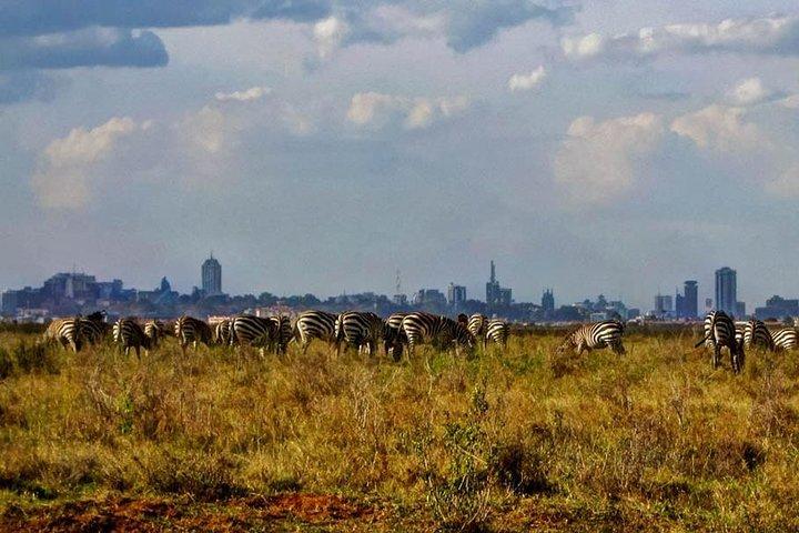 Nairobi National Park,Karen Blixen & Bomas Cultural Dance Show