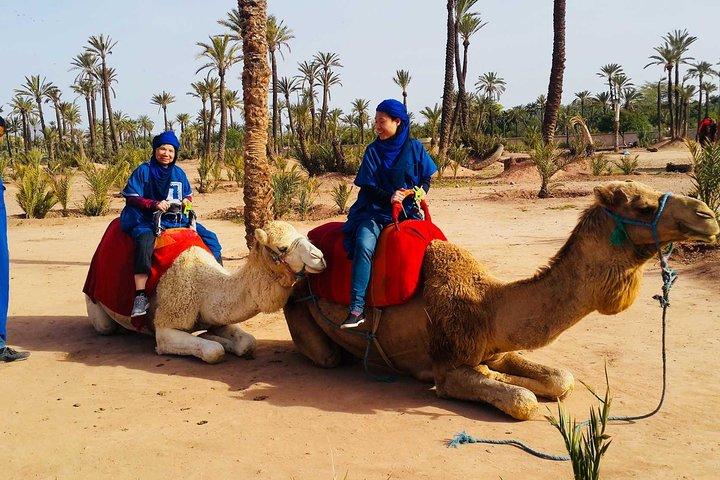 Camel ride tour in Marrakech