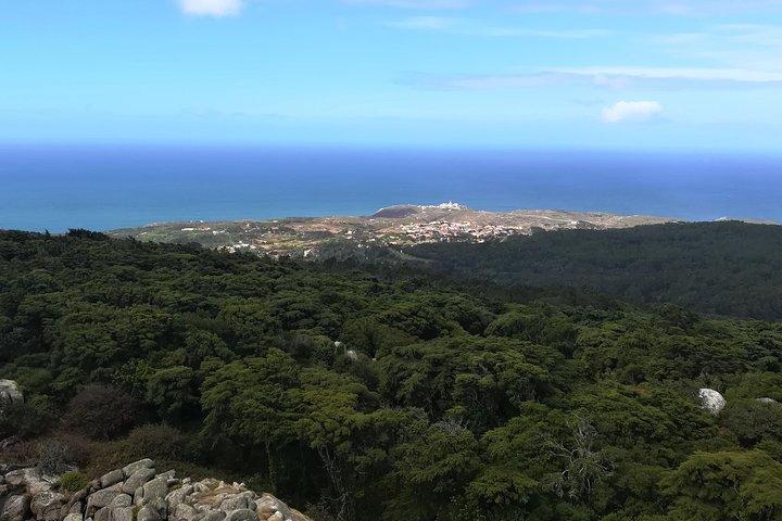 Private Half Day Hiking in Sintra-Cascais Natural Park