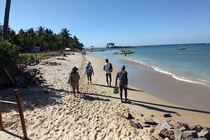 Paradise Morro de São Paulo Island Tour from Salvador