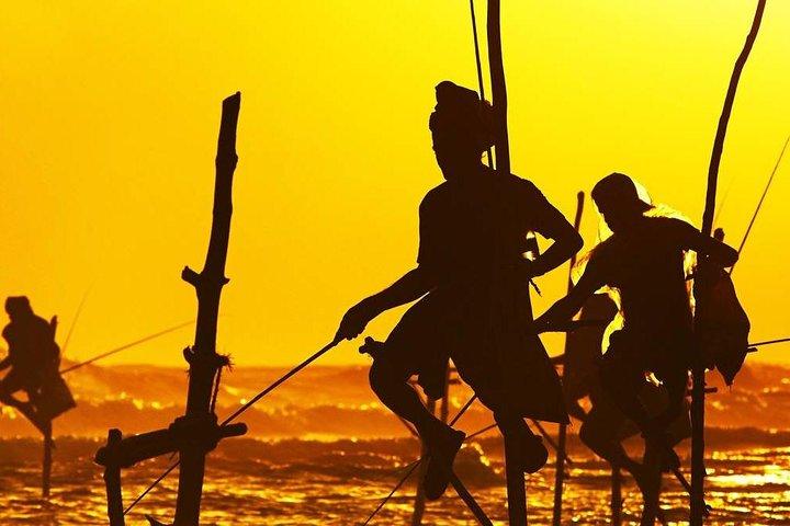 Family-Friendly Private Galle City Tour