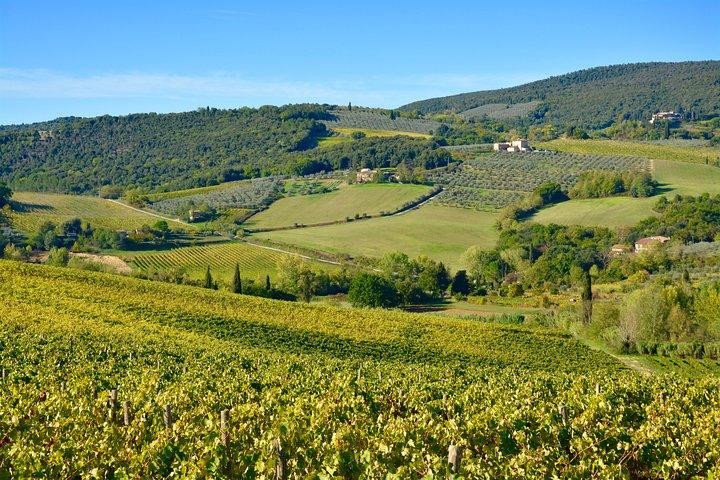 Private Tour: Chianti Region Tour by Minivan