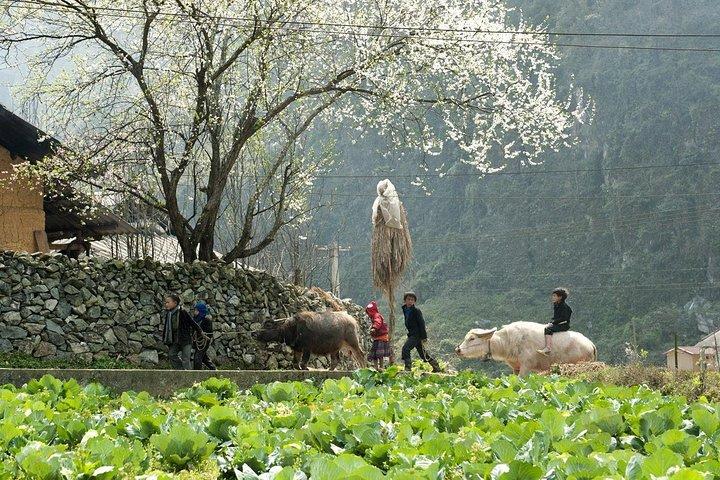 3 Days Sapa Tour with Night Train from Hanoi