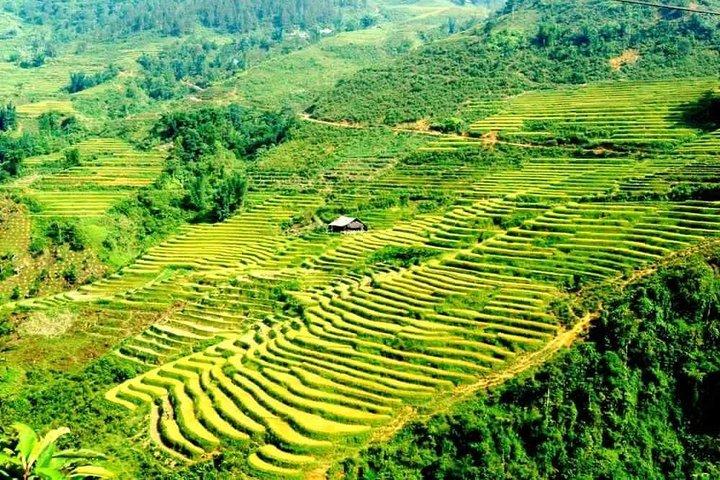 2 Days Group Trekking Tour from SAPA ( Homestay Overnight )