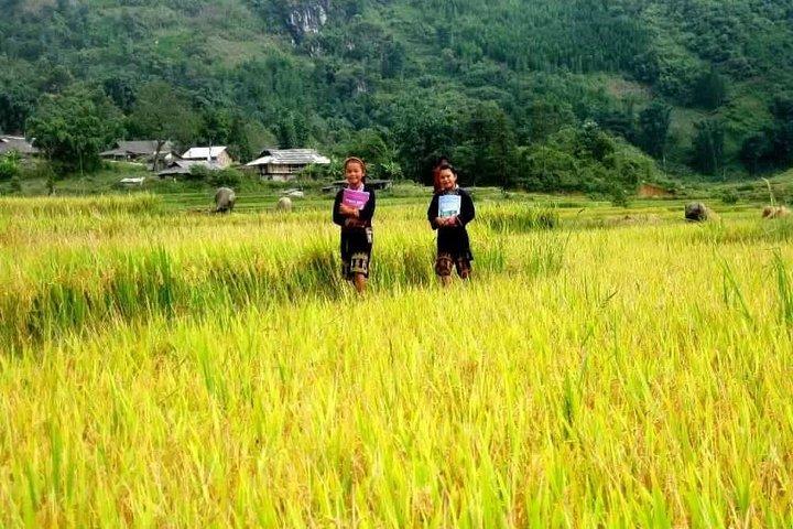 2-Days Overnight Sapa Trekking Tour by Bus from Hanoi
