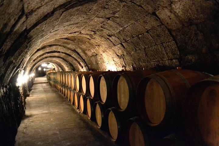 Ribera del Duero Small Group Tour: Tapas & Wine Tasting