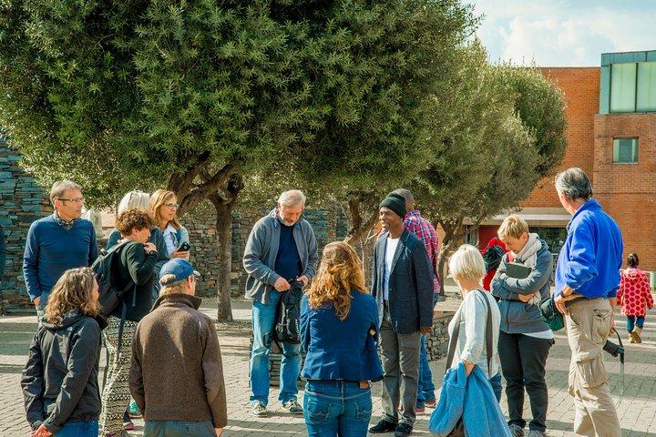 Ultimate Johannesburg Soweto Experience with Apartheid Museum