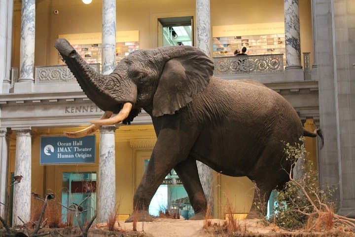 Nairobi City Tour