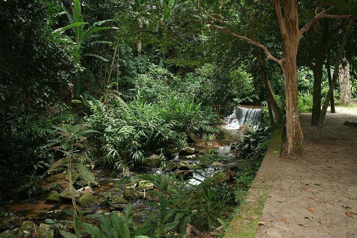 Jeep Tour Botanic Garden and Tijuca Rainforest