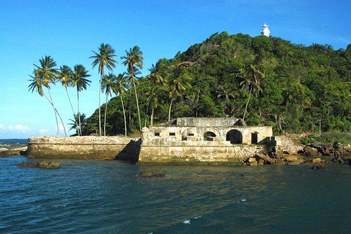 Tour To Morro De São Paulo