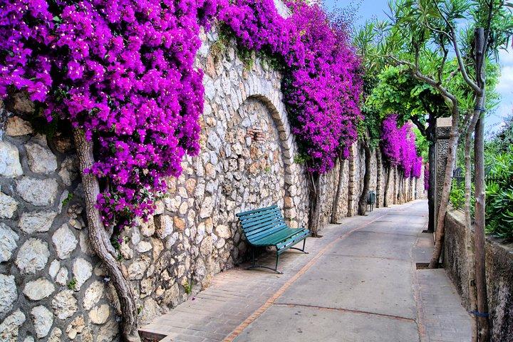 Capri Day Trip From Rome with Private Driver