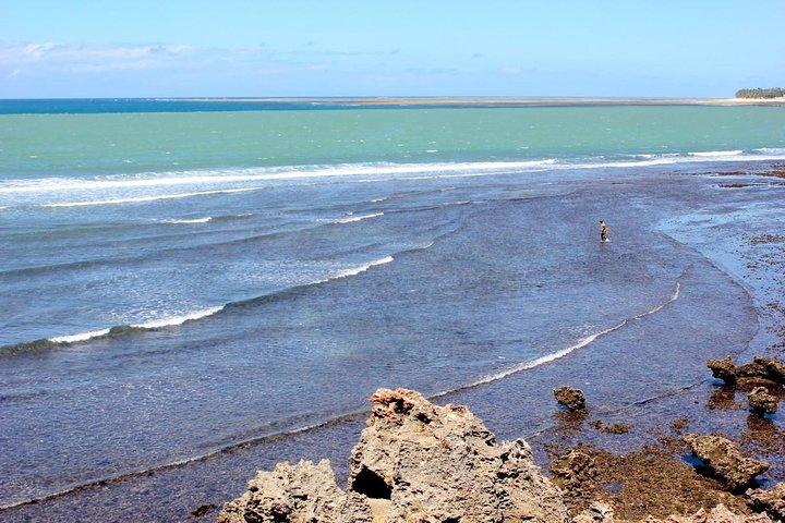 Full Day Mombasa Excursion Tour