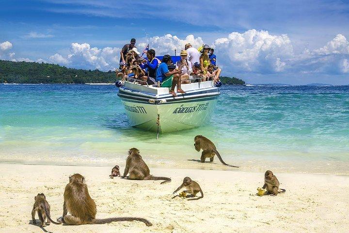 Tropical Escape: Phi Phi Islands by Speedboat from Phuket