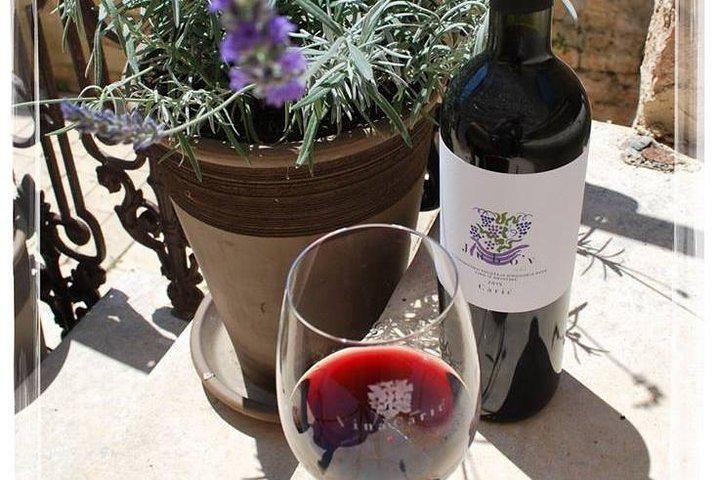 The Best of Hvar Small Group with Wine Tasting and Local meal