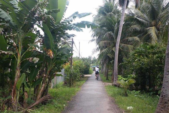 Authentic 'Non-Touristy' Mekong Delta Ben Tre 1 Day Private Tour