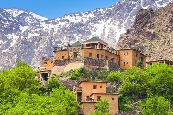 Day in the Atlas Mountains with camel ride