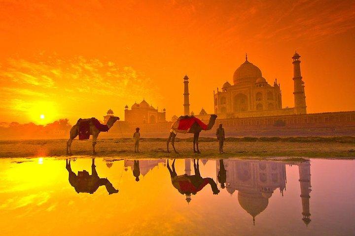 Private Trip : Agra Full-day Tour With Taj Mahal , Agra Fort & Fatehpur Sikri