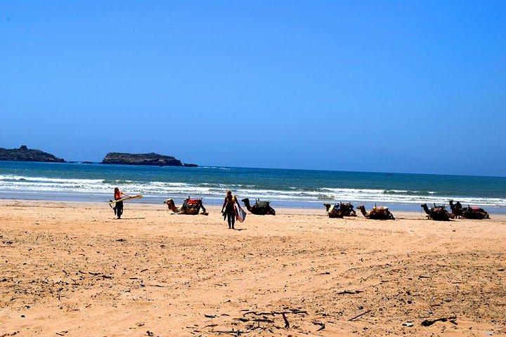 Premium Surf Trip to Essaouira from Marrakesh