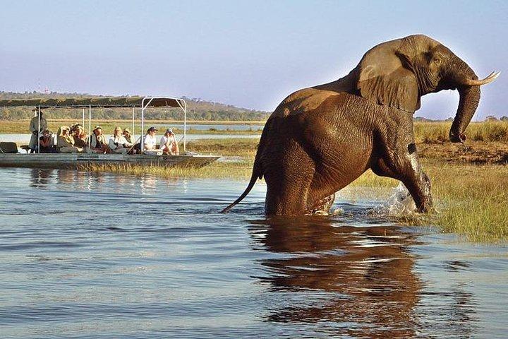 Victoria Falls : Chobe National Park Day Trip with (Buffet) Lunch