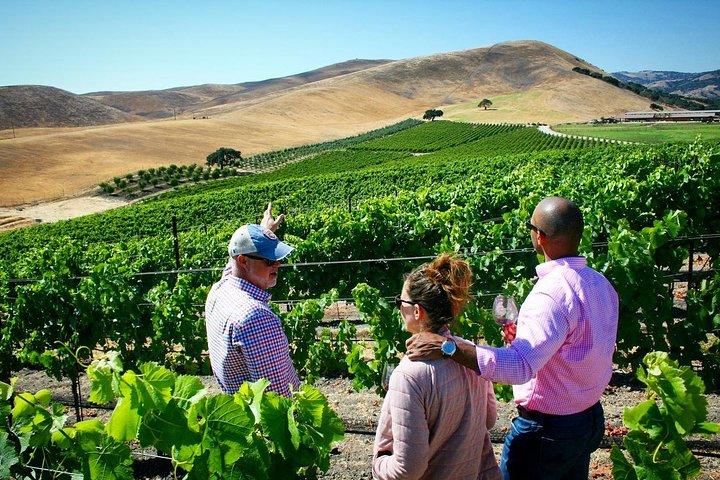 Small-Group Wine Tour in Santa Barbara to Exclusive Vineyards