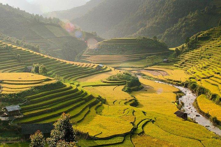 2 nites on train - 1 nite in Sapa town: trekking tours, meals, hotel, tour guide