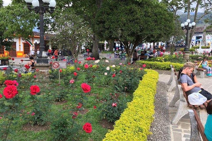 Coffee Plantation in Jardin tour with private transportation