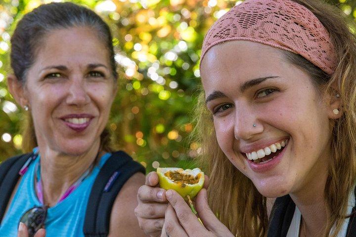 Small Group Waterfall and Rainforest Hiking Adventure on Maui