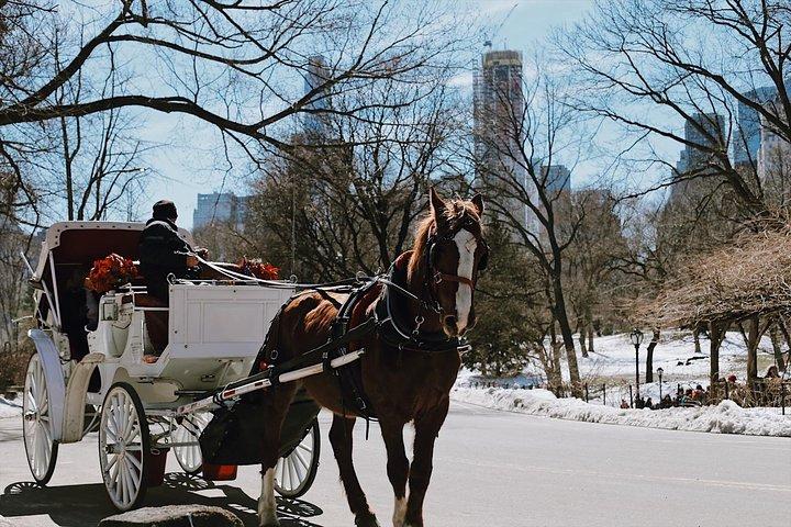 Central Park New York - Exclusive Guided Walking Tour