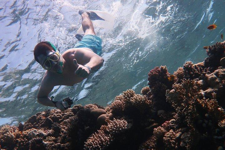 Snorkeling trip in Red Sea