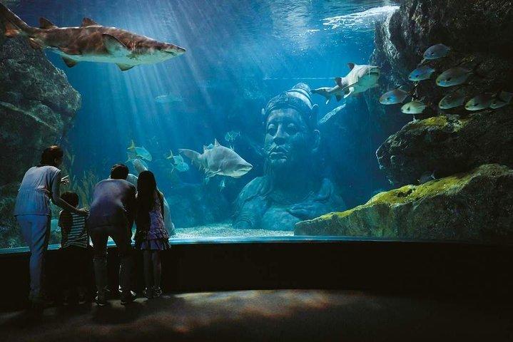 Bangkok SEA LIFE & Madame Tussauds Combo with Hotel Transfers