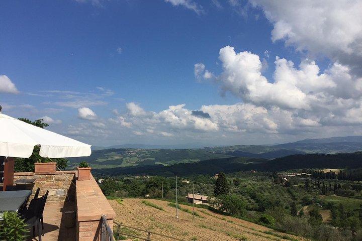 Brunello di Montalcino, small biodynamic wineries