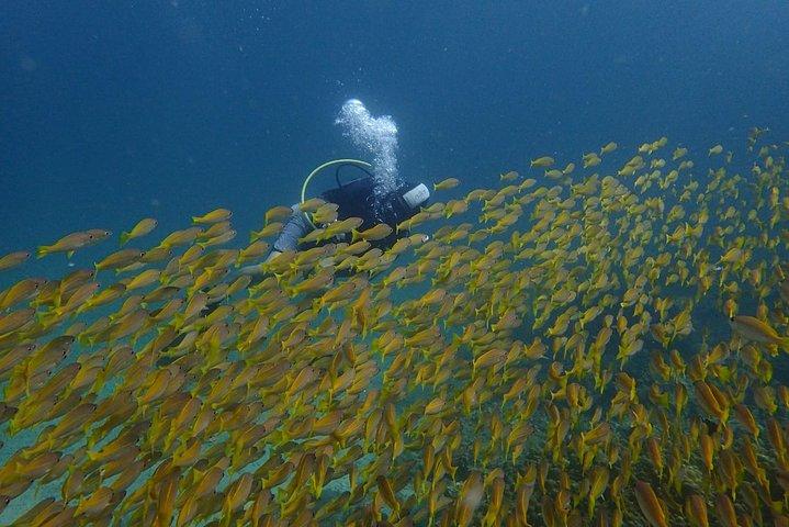 Full-Day Similans Scuba Diving from Phuket