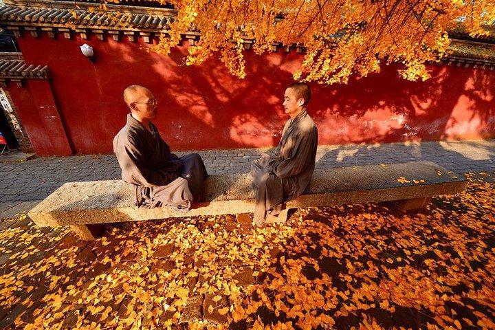 Luoyang Private Day Tour of Shaolin Temple and Longmen Grottoes