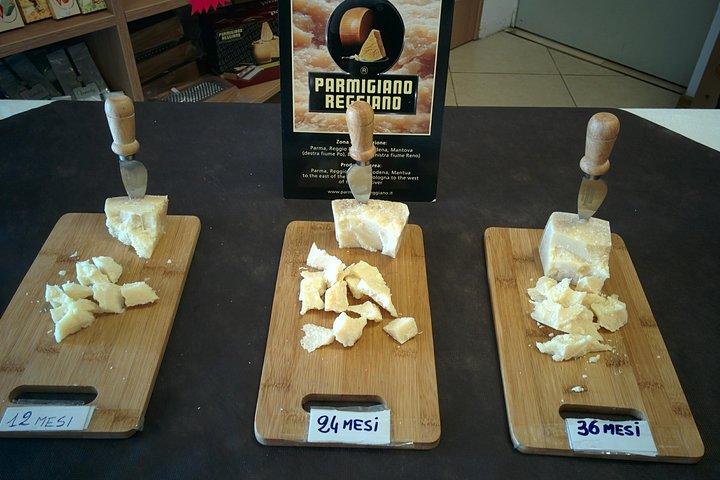 Tasting and Biking Parma