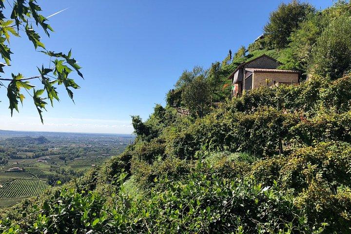 A Sparkling Day in the Prosecco Hills from Venice