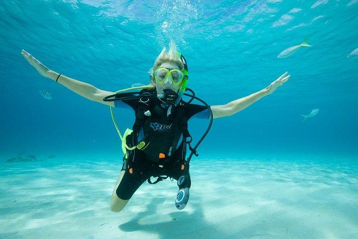 Beginners Scuba Diving Experience in Gran Canaria