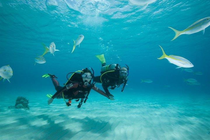Beginners Scuba Diving Experience in Gran Canaria