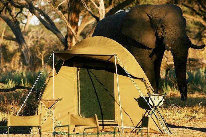 2-Day Camping Safari in Chobe National Park from Victoria Falls