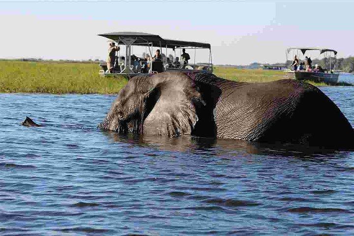 Chobe Extended Day Trip from Victoria Falls - Zimbabwe